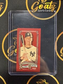 Aaron Judge